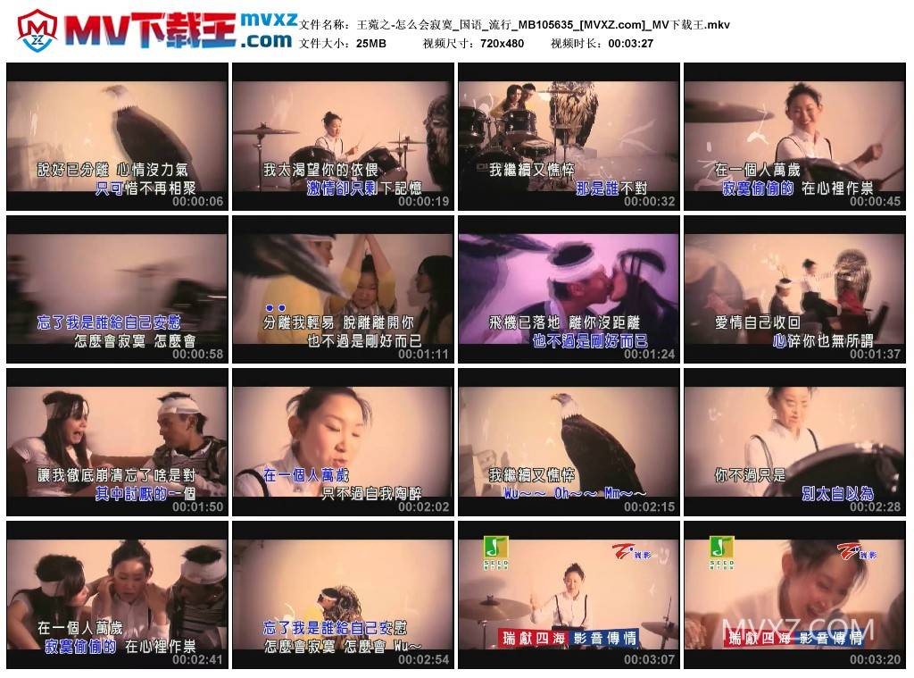王菀之-怎么会寂寞_国语_流行_MB105635